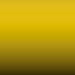 Lakstift Toyota - Bright Yellow (561)