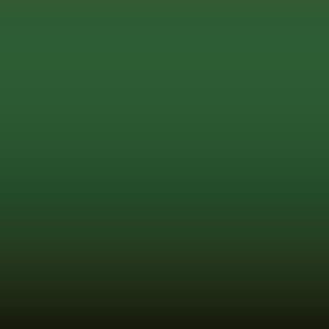 Lakstift Toyota - Pireus Green (6816A4)