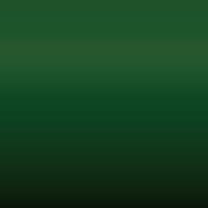 Lakstift Toyota - Green (6K3)