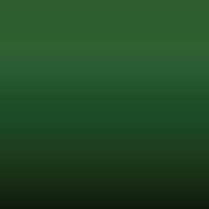 Lakstift Toyota - Green (6K9)