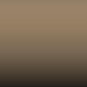 Lakstift Volkswagen - Graubeige - Ral 1019 (LP1M)