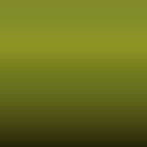 Lakstift Hyundai - Adventure Green Matt (GREEN01)