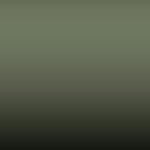 Lakstift Hyundai - Mangrove Green (MG2)