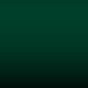 Lakstift Fiat - Verde Stelvio (312/B)