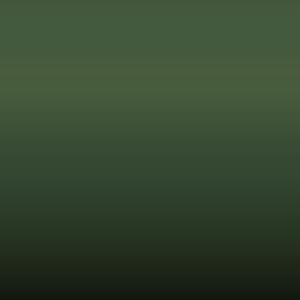 Lakstift Fiat - Verde Palude (365)