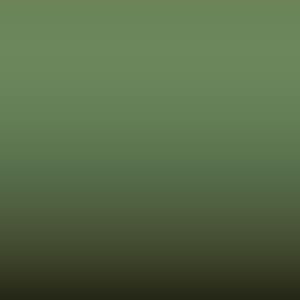 Lakstift Volvo - Ljusgroen-Light Green (118.1)