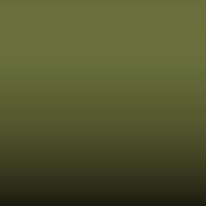 Lakstift Fiat - Verde Brillante (374-148/A)