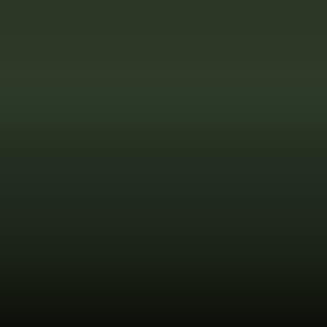 Lakstift Toyota - Moss Green - Ridge Green (DMG)