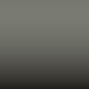 Lakstift Toyota - Stone Grey (Interior 1c0) (INT5185)