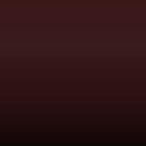 Lakstift Toyota - Maroon (Interior 3h8) (INT5380)