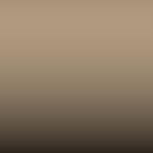 Lakstift Volvo - Beige-Beige (216)