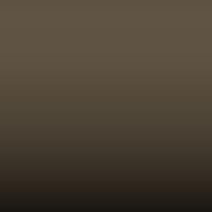 Lakstift Volkswagen - Ton Beige (L479)