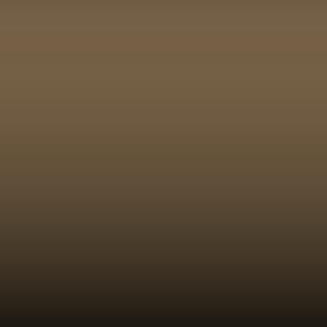 Lakstift Fiat - Beige (502)