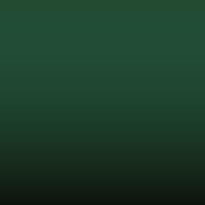 Lakstift Suzuki - Emerald Green (04)
