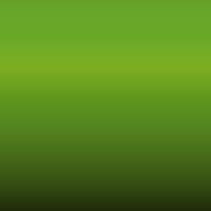 Lakstift Suzuki - Sofie Green (07U)