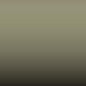Lakstift Fiat - Beige Chiaro (539/50)