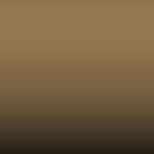 Lakstift Suzuki - Desert Beige (11J)