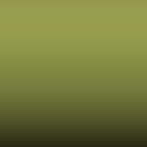 Lakstift Suzuki - Light Green (11V)