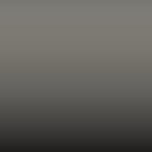 Lakstift Suzuki - Grey (31N)