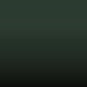 Lakstift Mazda - Evergreen (EP)