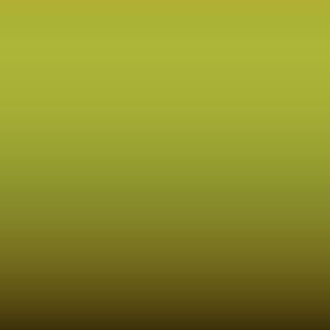 Lakstift Suzuki - Kinetic Yellow (ZZB)