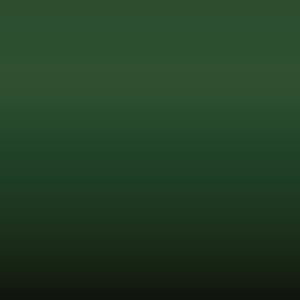Lakstift Mazda - Pine Green (FR)