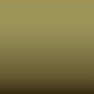 Lakstift Nissan - Olive Yellow (221)