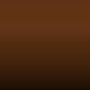 Lakstift Nissan - Brown (512)