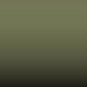 Lakstift Nissan - Olive (597)