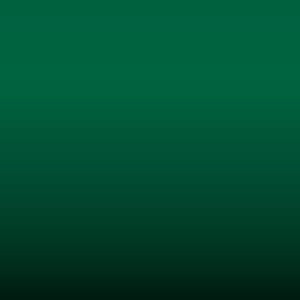 Lakstift Nissan - Forest Green (612)