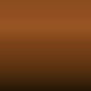 Lakstift Nissan - Autumn Brown (647)