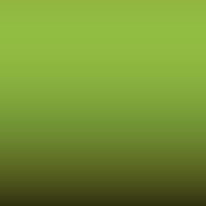 Lakstift Nissan - Citrus Green (661)