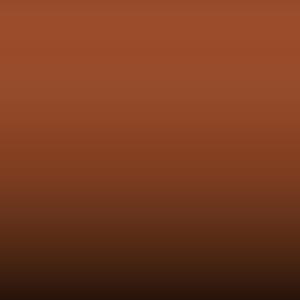 Lakstift Nissan - Fawn Brown (824)