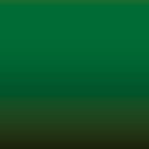 Lakstift Nissan - Kelly Green (940)