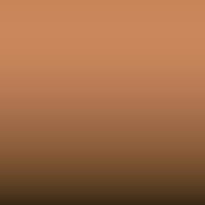 Lakstift Nissan - Caramel (A10)