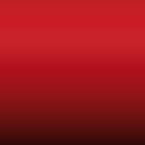 Lakstift Nissan - Corporate Red (CORPORATE1)