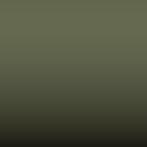Lakstift Nissan - Tank Green (D12)