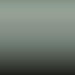 Lakstift Nissan - Light Green (D40)