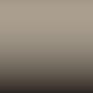 Lakstift Nissan - Beige (Interior Cg2-Kj1) (INT10)