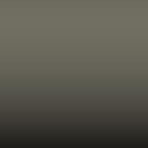 Lakstift Nissan - Light Grey (INTD02M2)