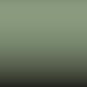 Lakstift Nissan - Emerald Green (JK2)