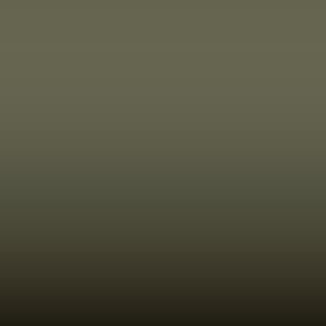 Lakstift Nissan - Olive Grey (JS2)
